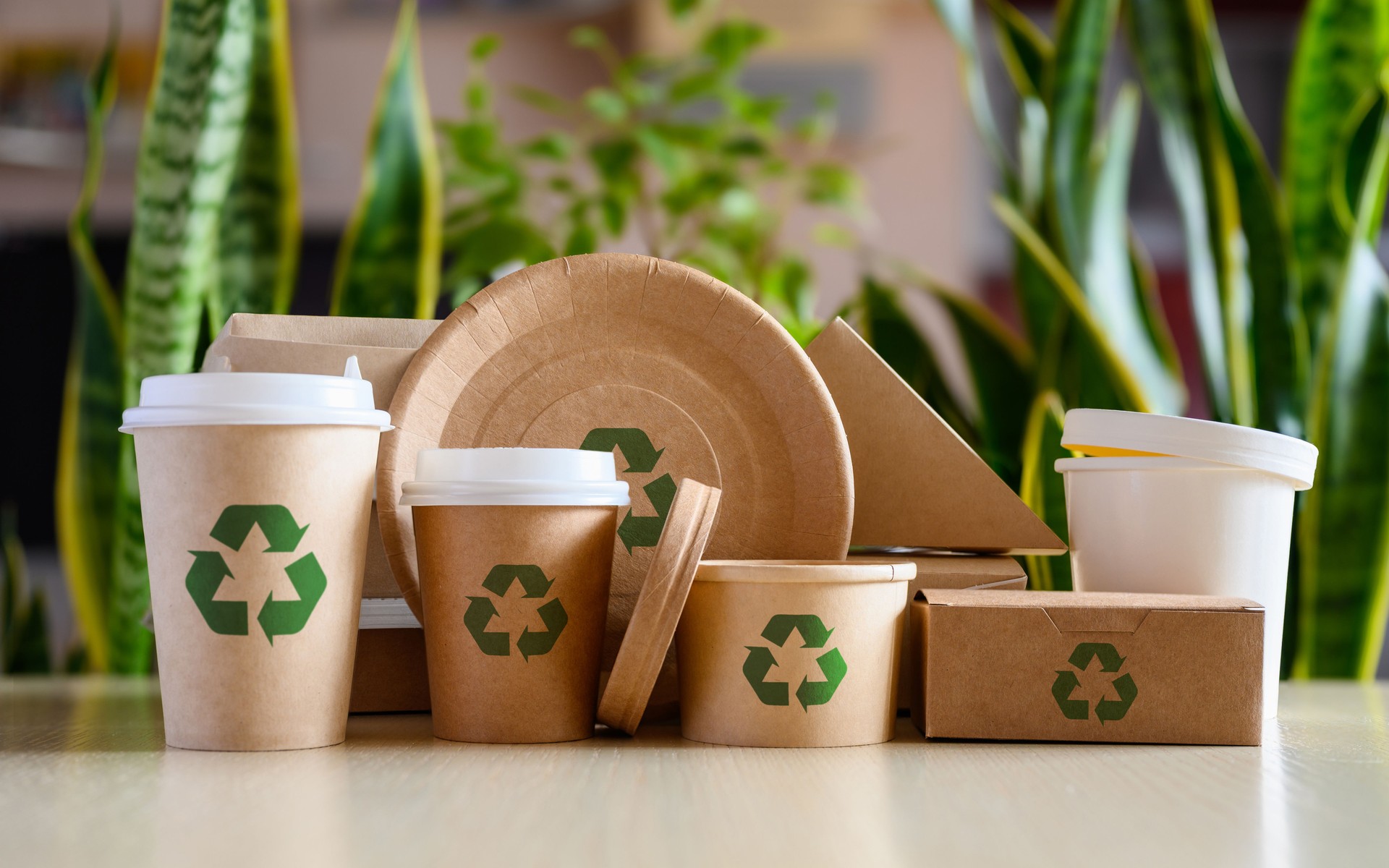 Paper eco-friendly disposable tableware with recycling signs on the background of green plants.