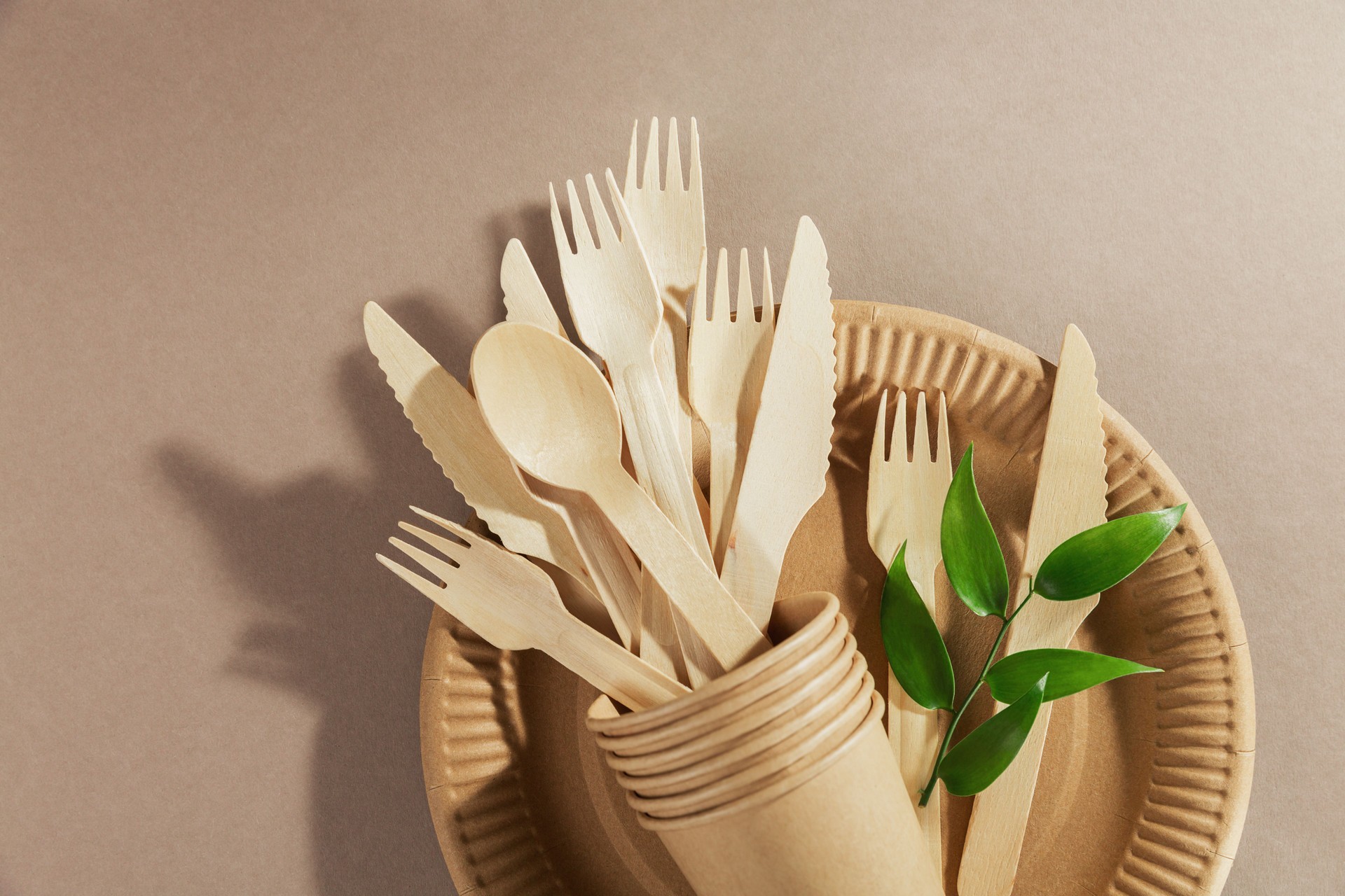 Disposable tableware from natural materials