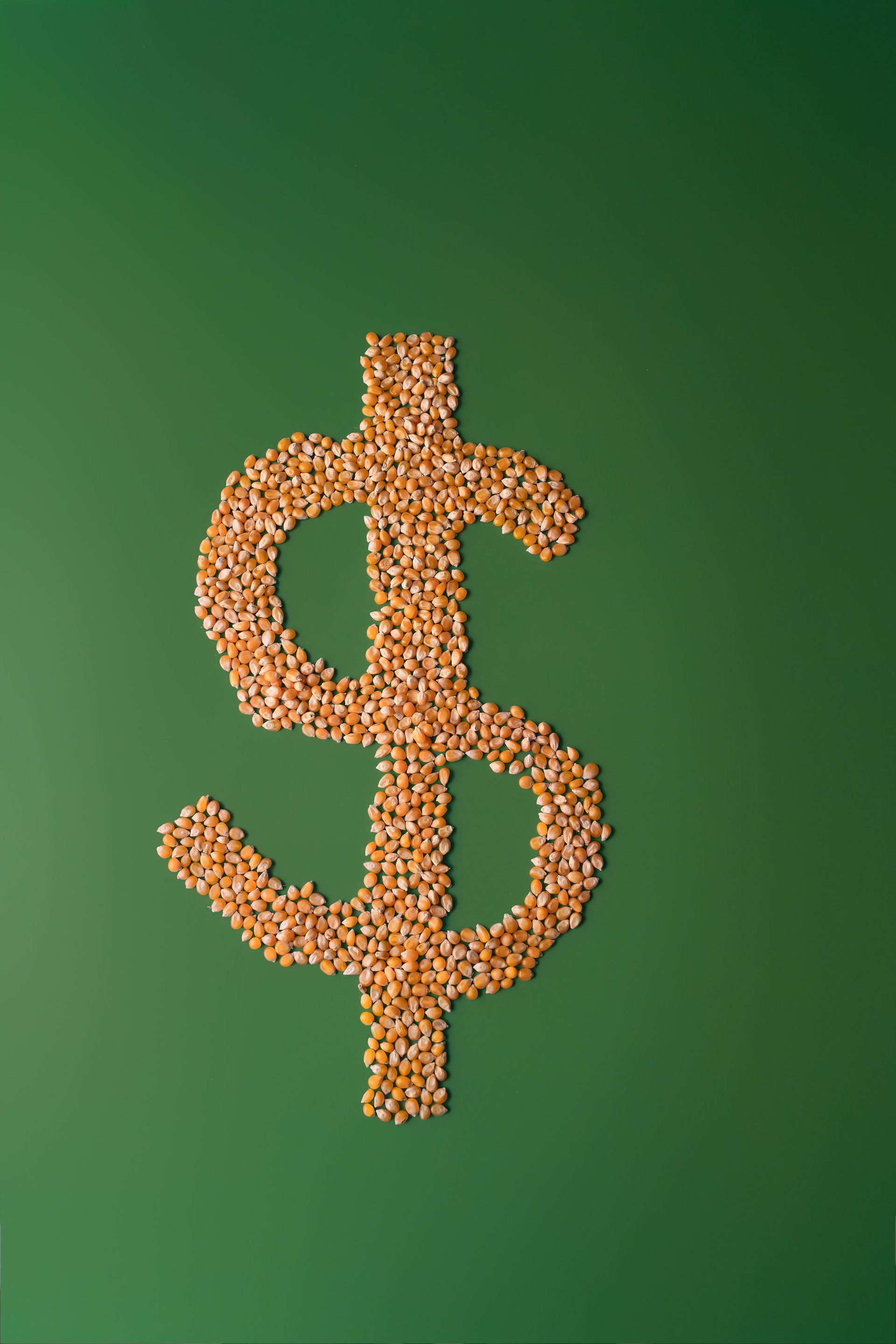 Financial Growth, Investment, Money, Sustainability Metaphor, Using Popcorn Dollar Sign